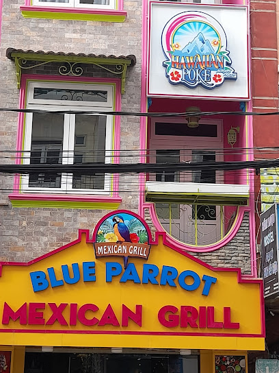 Blue Parrot Mexican Grill