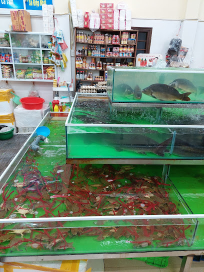 Vựa Hải Sản Tươi Sống Hà Khiêm