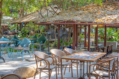 Hoa Đồng Nội Coffee