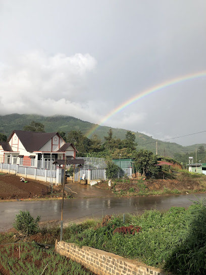 Café nắng chiều