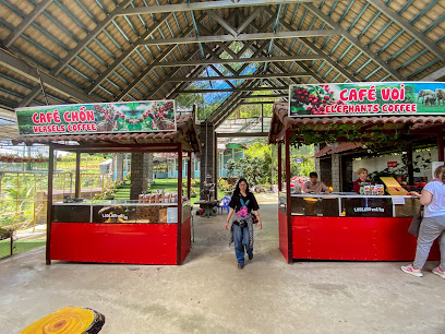 Vườn Cafe Chồn, Cafe Voi - Phú An