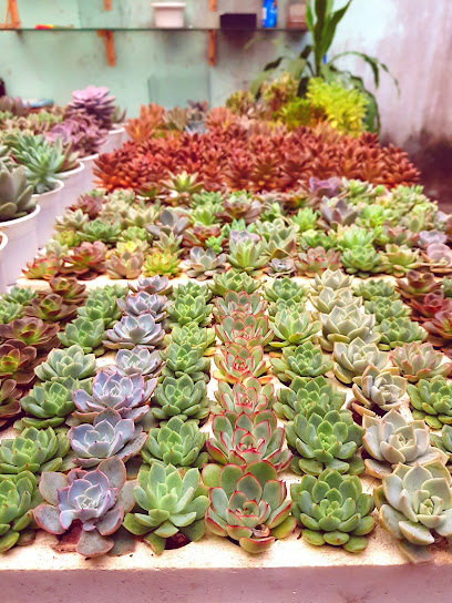 Cà Phê Điểm Hẹn