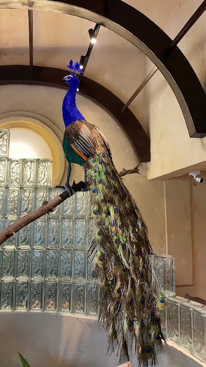 Đen Đá The Museum