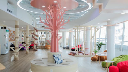 Méo Meo Cat Cafe - Cafe thú cưng Quận 7