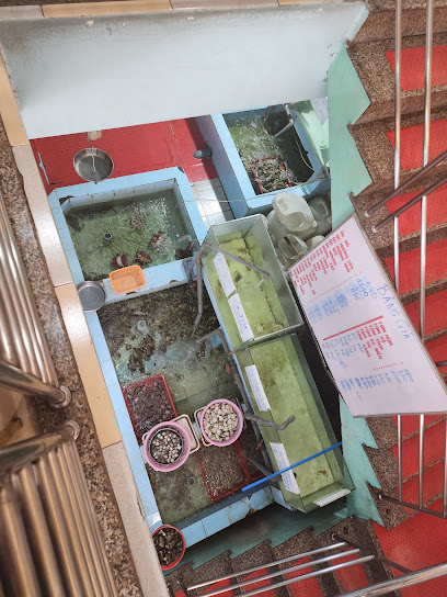 Nhật Phương Quán