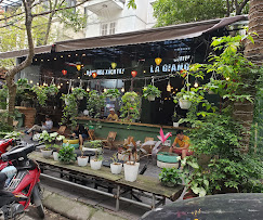 Coffee Tikaka